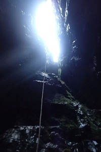 P6220294